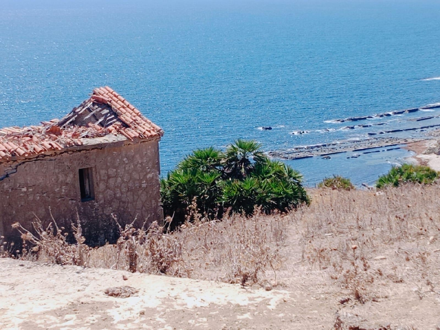 till salu tomt Tarifa Campo De Gibraltar 6