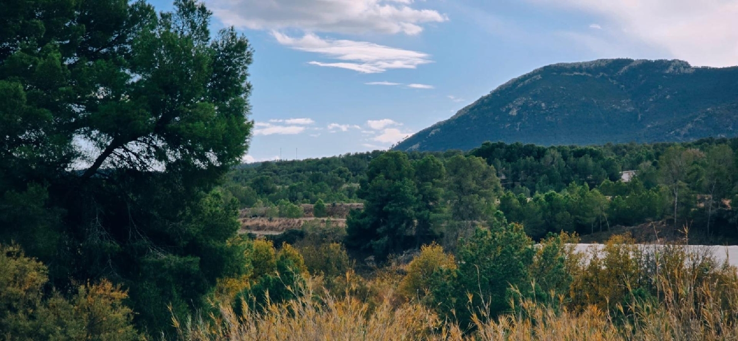  en venta terreno Tibi Alcoia 7