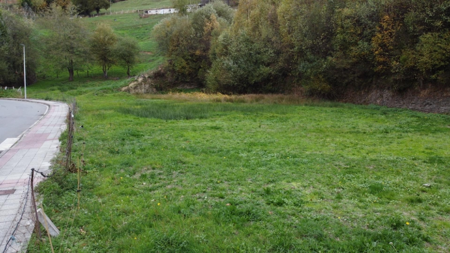  for sale plot Tineo Narcea 7