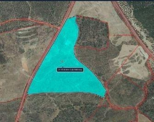 Tinieblas De La Sierra Sierra De La Demanda perceel foto 6336687