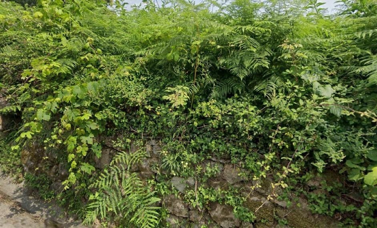  te koop perceel Tomiño Baixo Miño 6