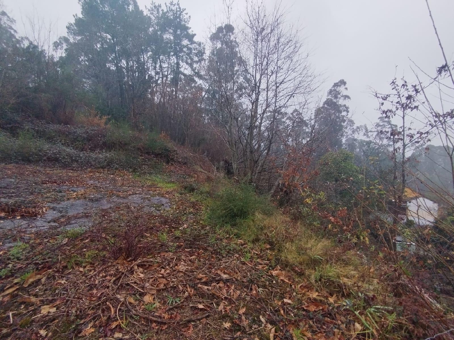  te koop perceel Tomiño Baixo Miño 4