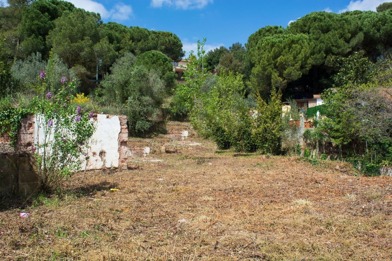  te koop perceel Vacarisses Vallès Occidental 5