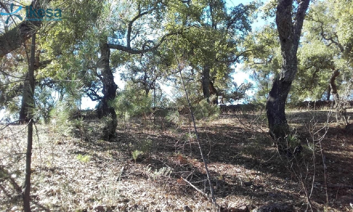  till salu tomt Valdelarco Sierra De Huelva 2