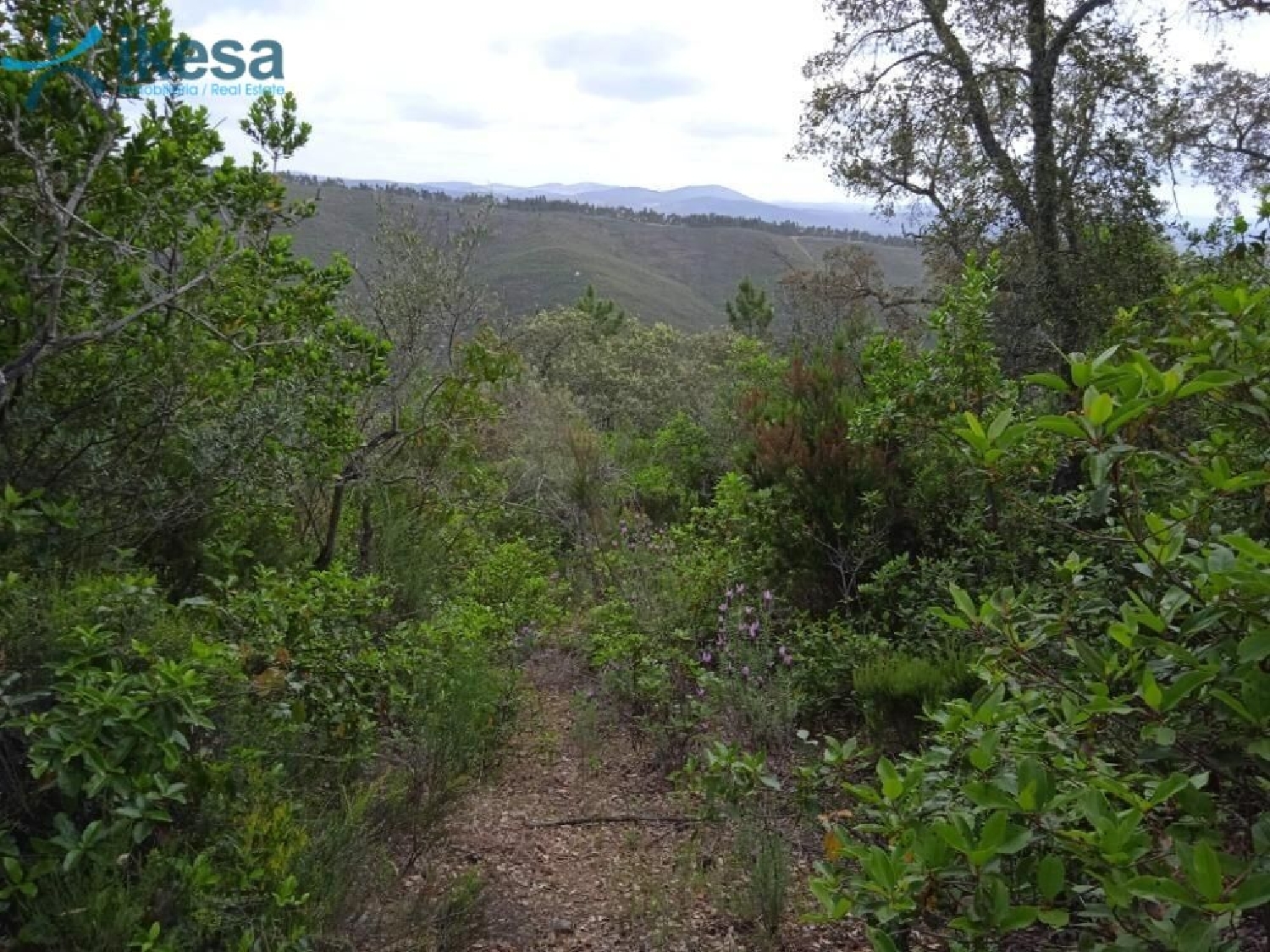  till salu tomt Valdelarco Sierra De Huelva 3