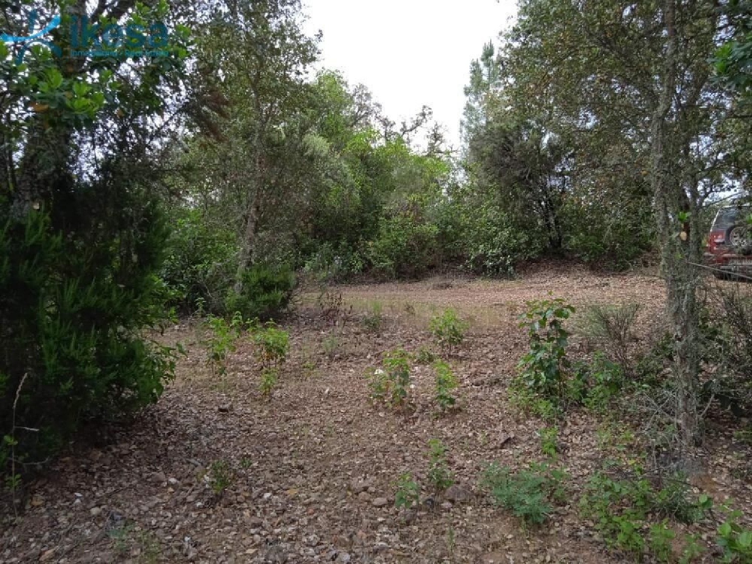  till salu tomt Valdelarco Sierra De Huelva 4