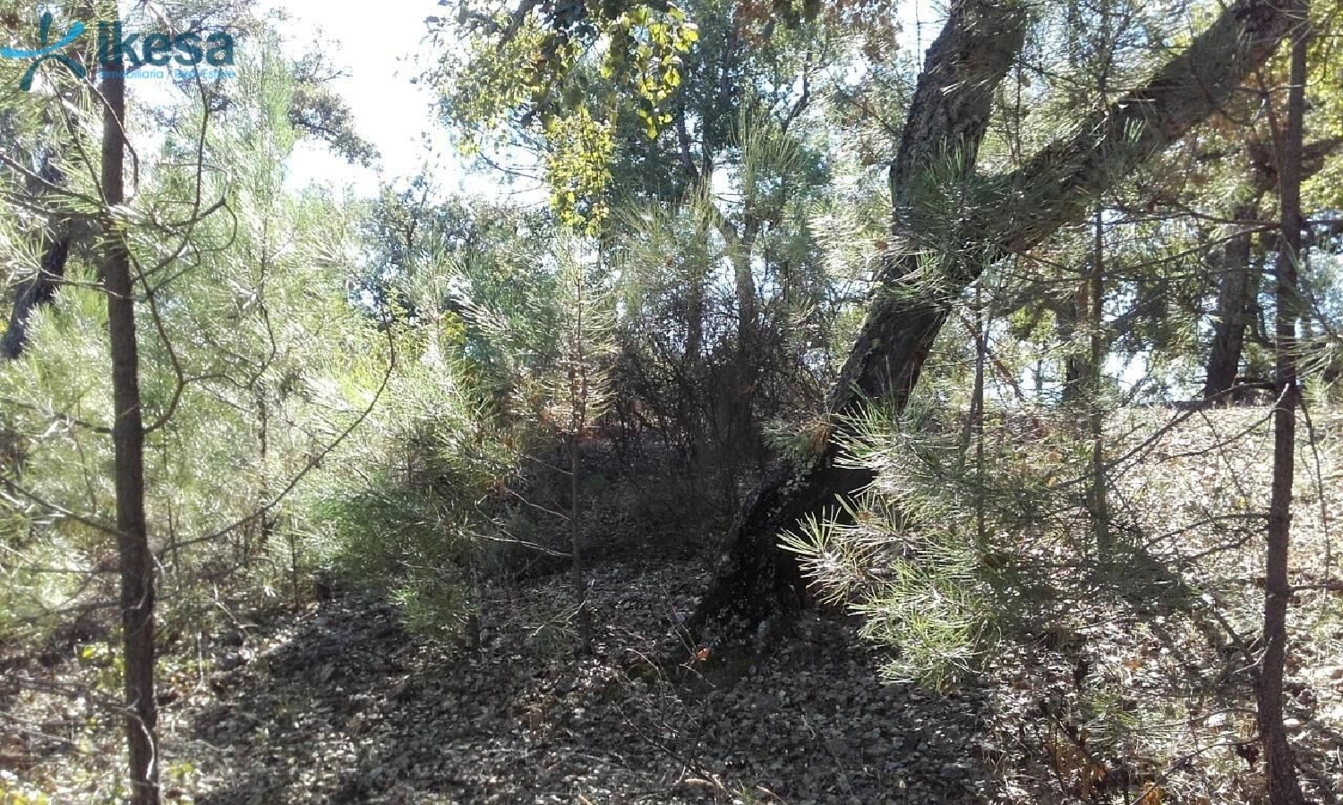  till salu tomt Valdelarco Sierra De Huelva 1