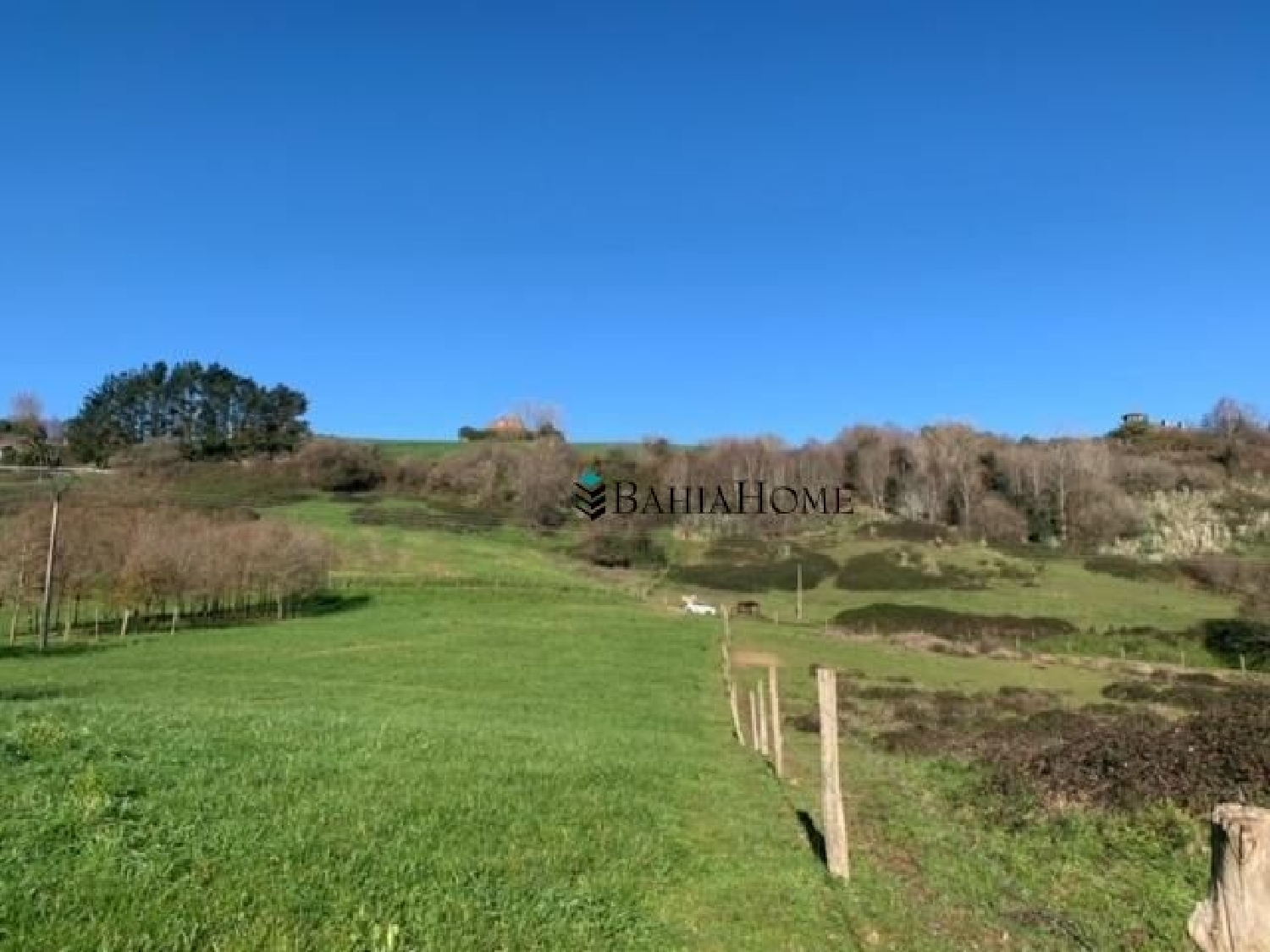  te koop perceel Valdepielagos Cuenca Del Medio Jarama 8