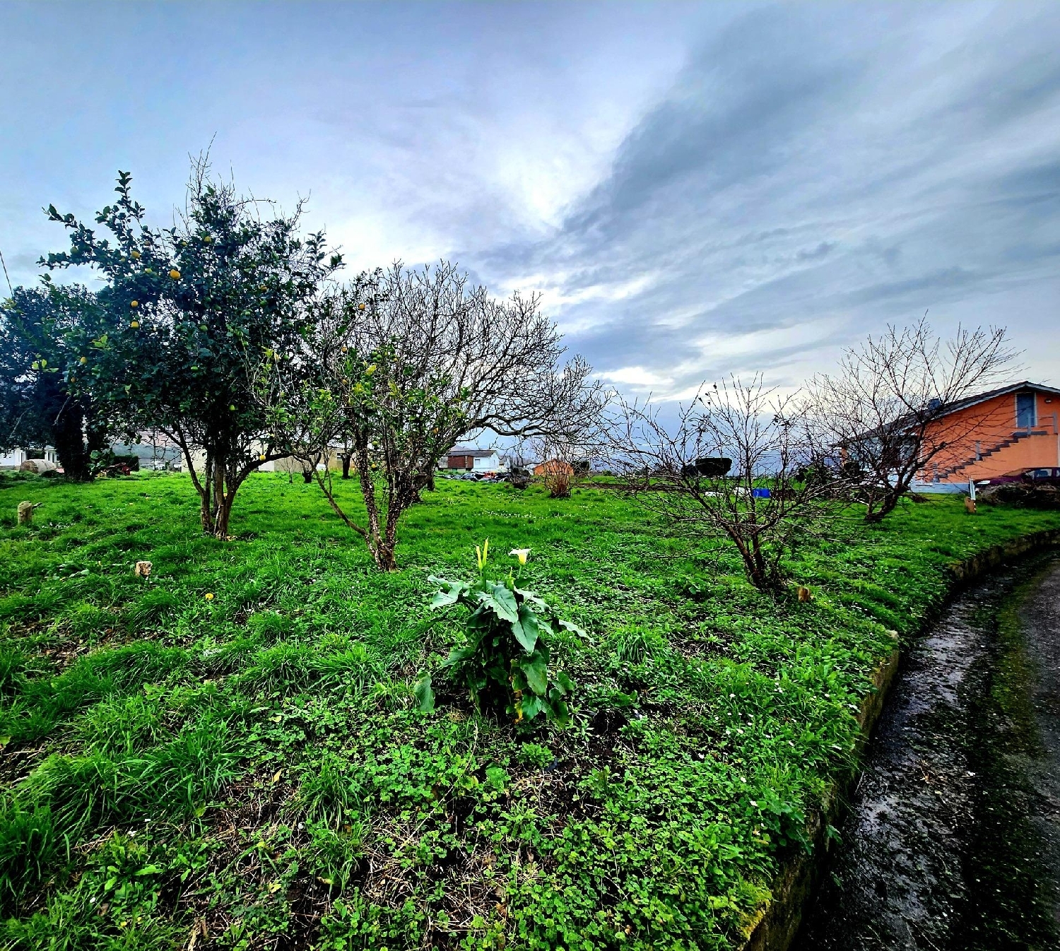  en venta terreno Valdesalor Cáceres 4