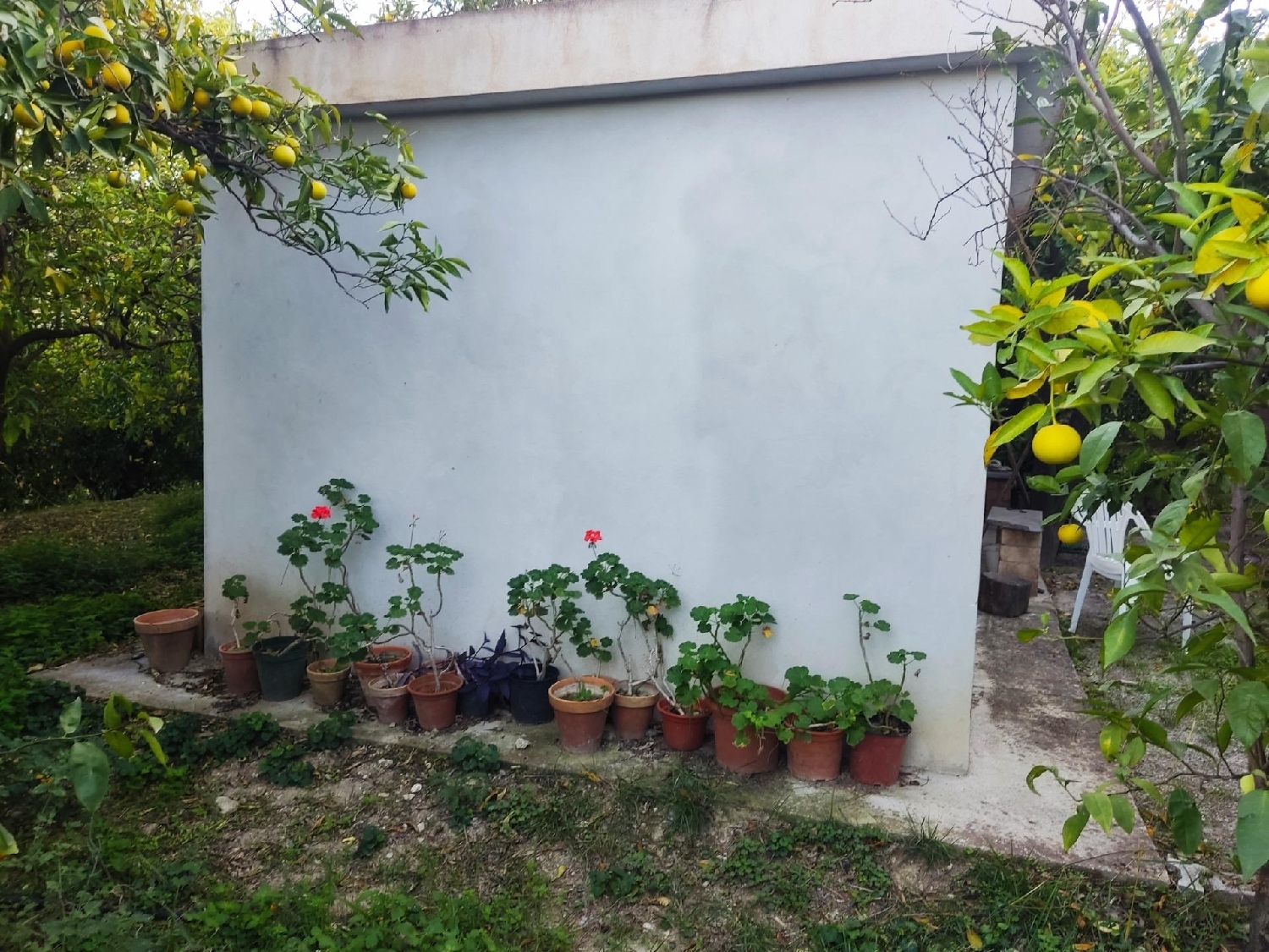 te koop perceel Valle Coruña 7