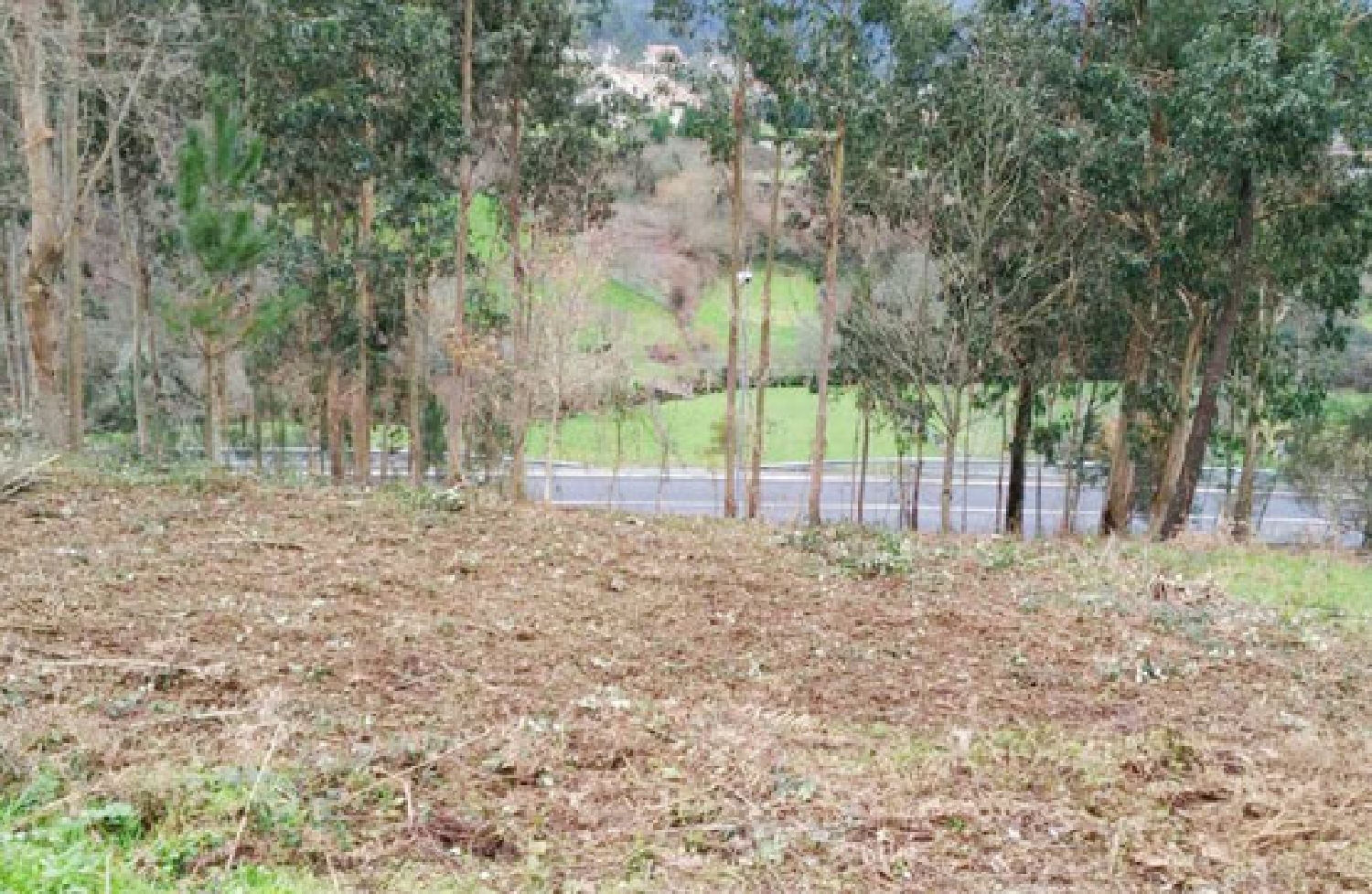  en venta terreno Vigobo Barcala 2