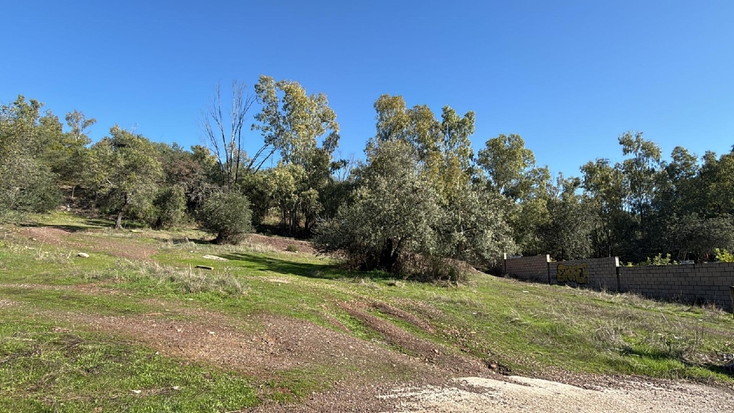  te koop perceel Villafranca De Córdoba Alto Guadalquivir 2