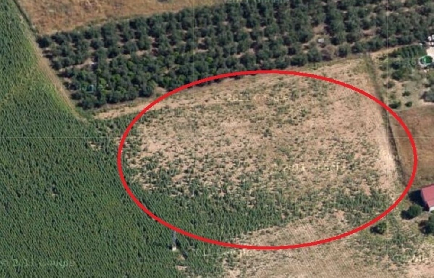  te koop perceel Villafranca De Córdoba Alto Guadalquivir 1