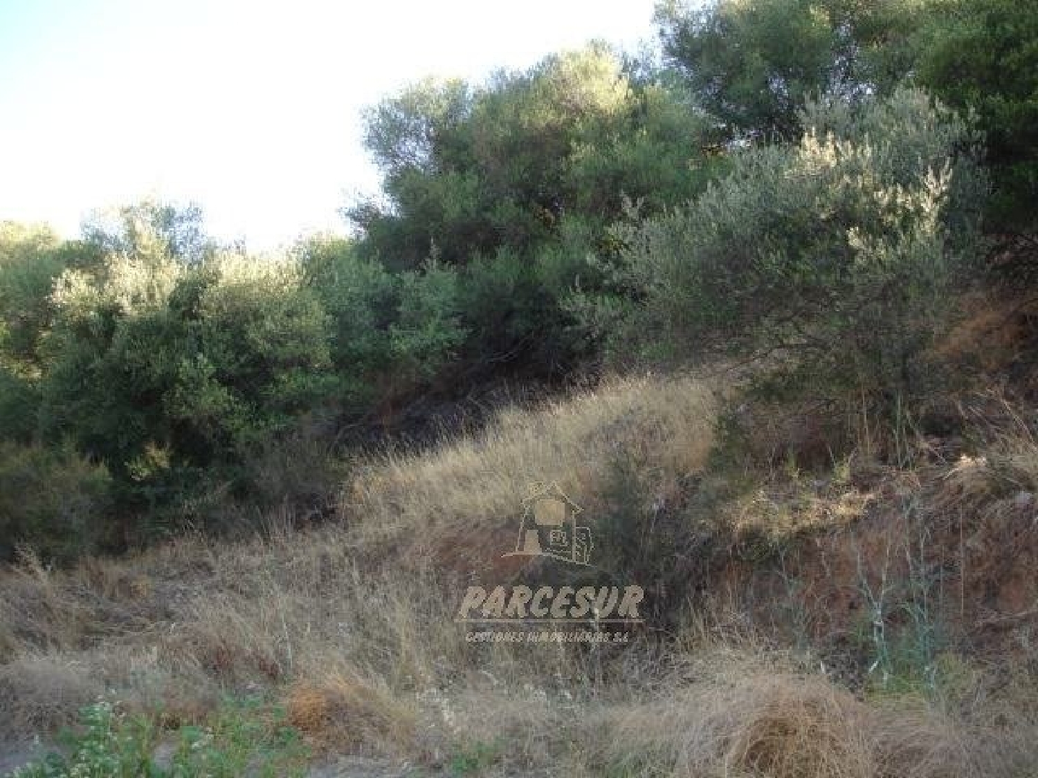  kaufen Grundstück Villafranca De Córdoba Alto Guadalquivir 1