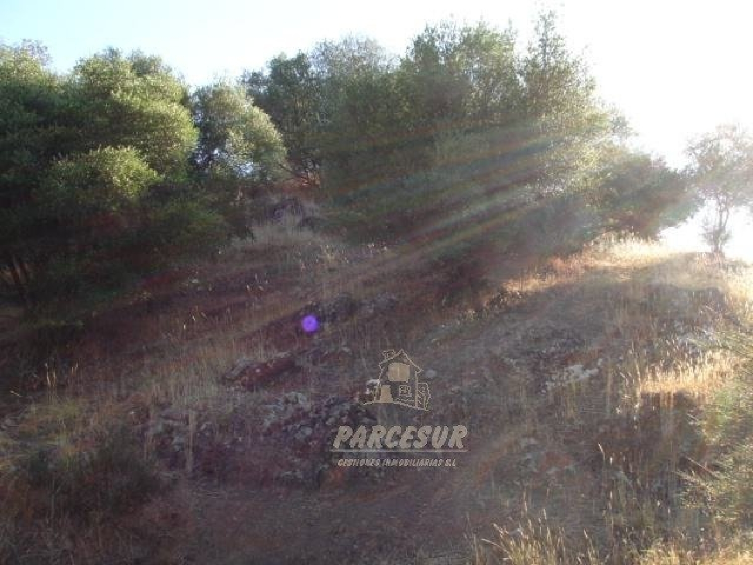  kaufen Grundstück Villafranca De Córdoba Alto Guadalquivir 7