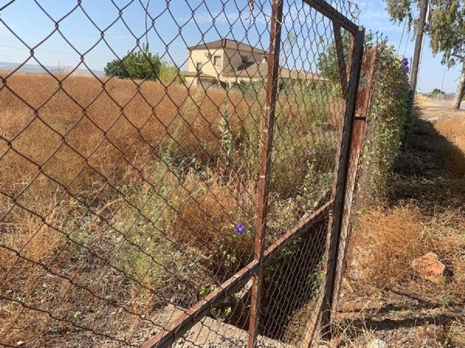  kaufen Grundstück Villafranca De Córdoba Alto Guadalquivir 2