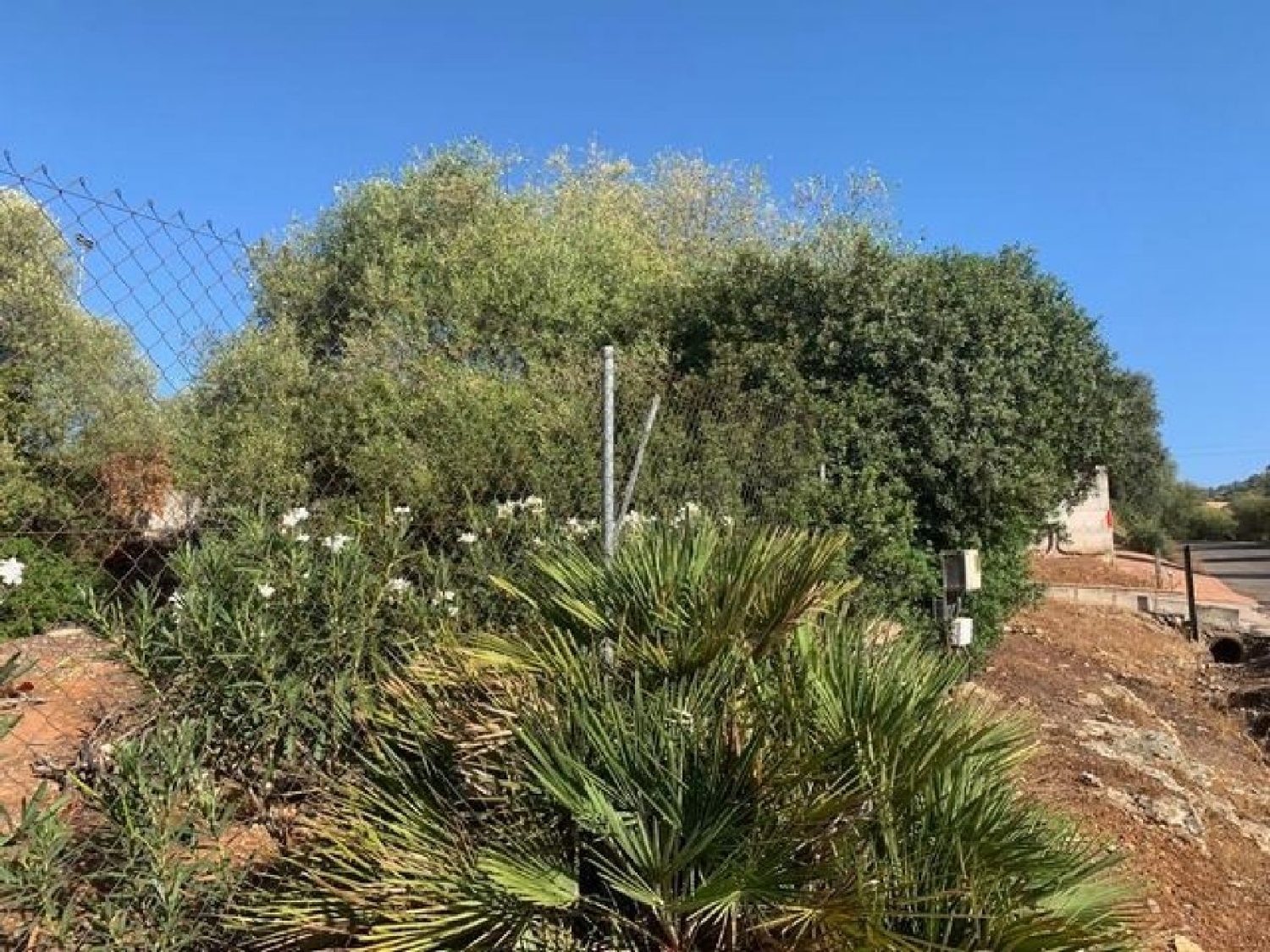  kaufen Grundstück Villafranca De Córdoba Alto Guadalquivir 1