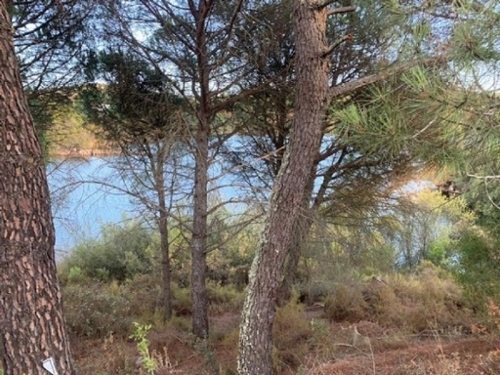 Villafranca De Córdoba Alto Guadalquivir Grundstück Bild 6341578