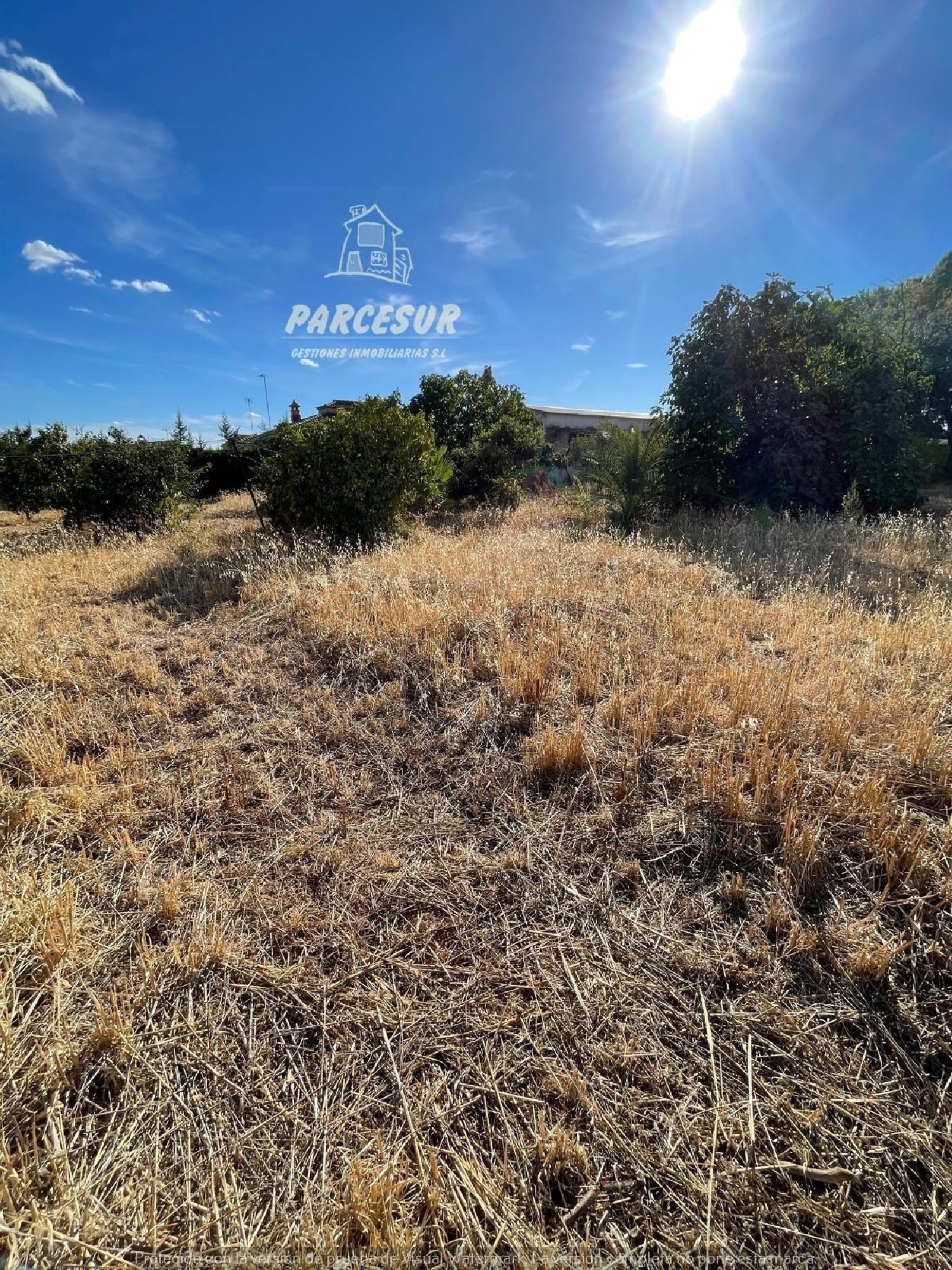  kaufen Grundstück Villafranca De Córdoba Alto Guadalquivir 8