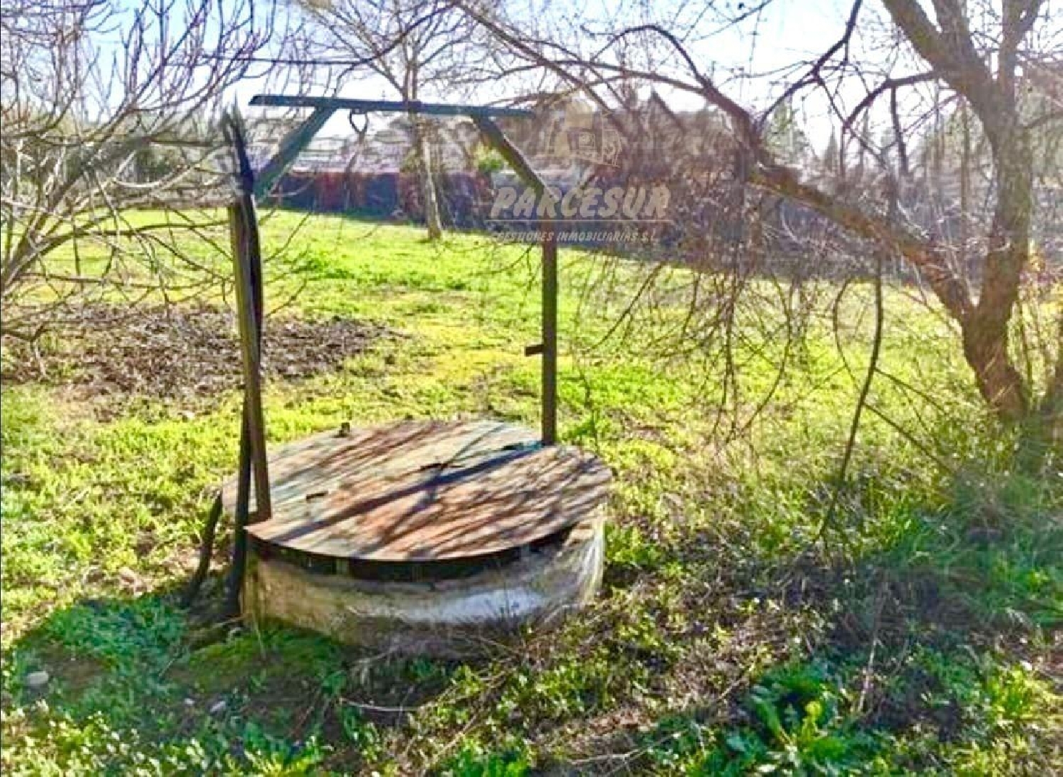  kaufen Grundstück Villafranca De Córdoba Alto Guadalquivir 3