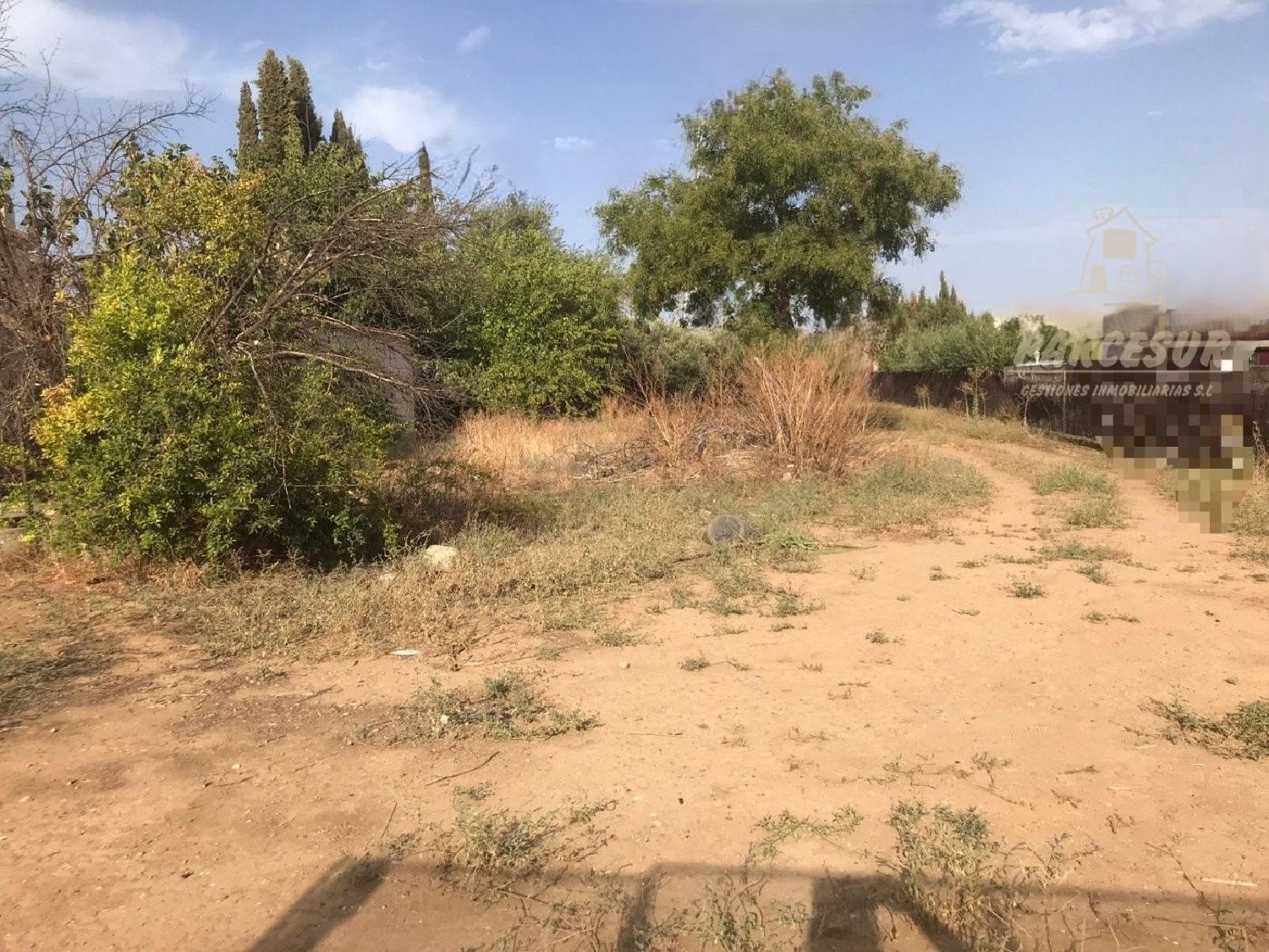  kaufen Grundstück Villafranca De Córdoba Alto Guadalquivir 4