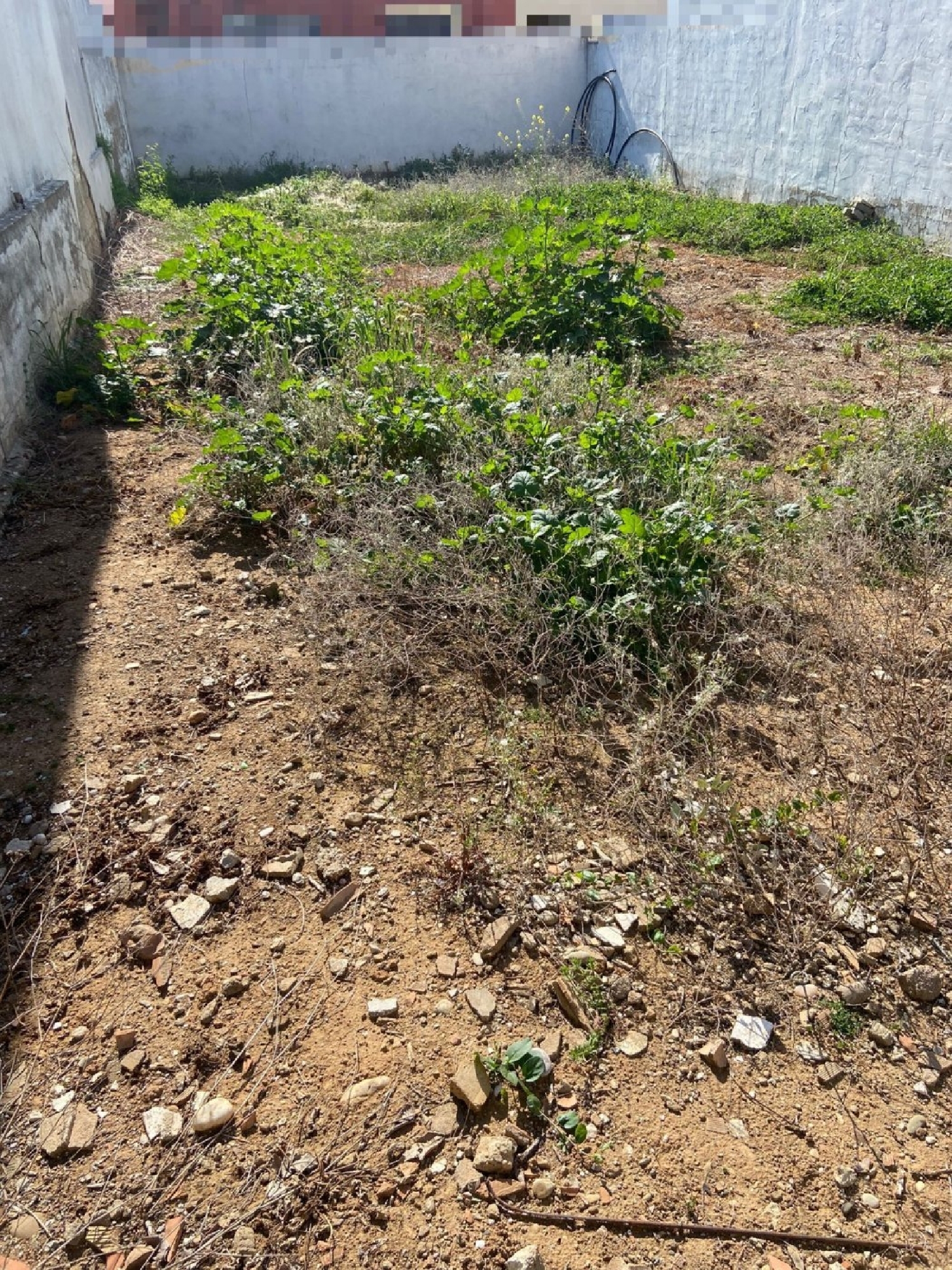 kaufen Grundstück Villafranca De Córdoba Alto Guadalquivir 1