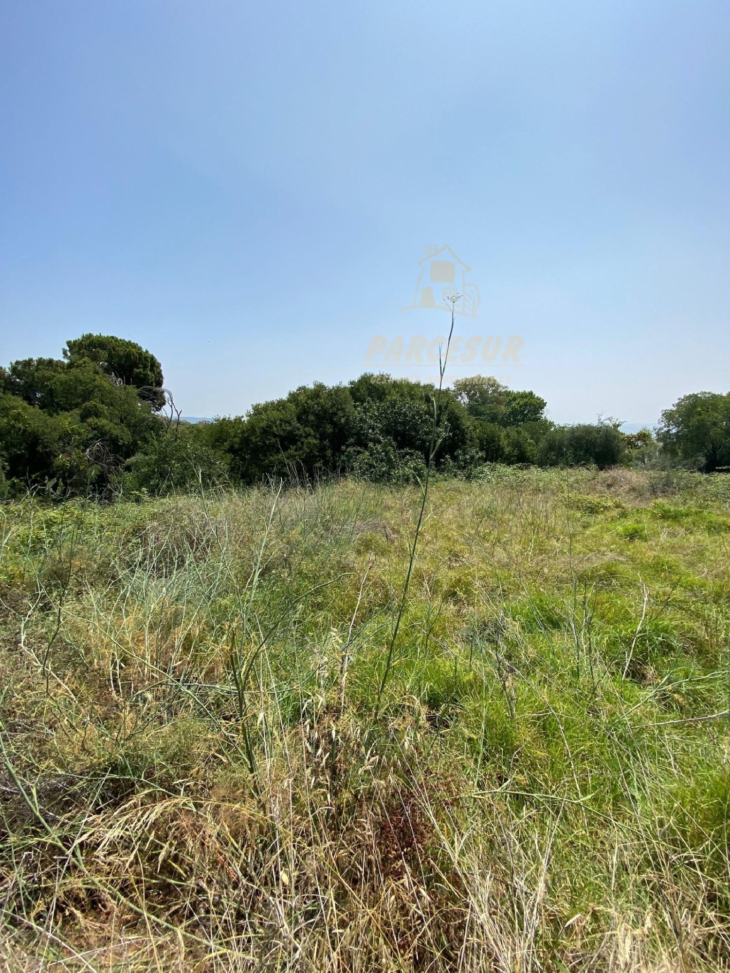  kaufen Grundstück Villafranca De Córdoba Alto Guadalquivir 4