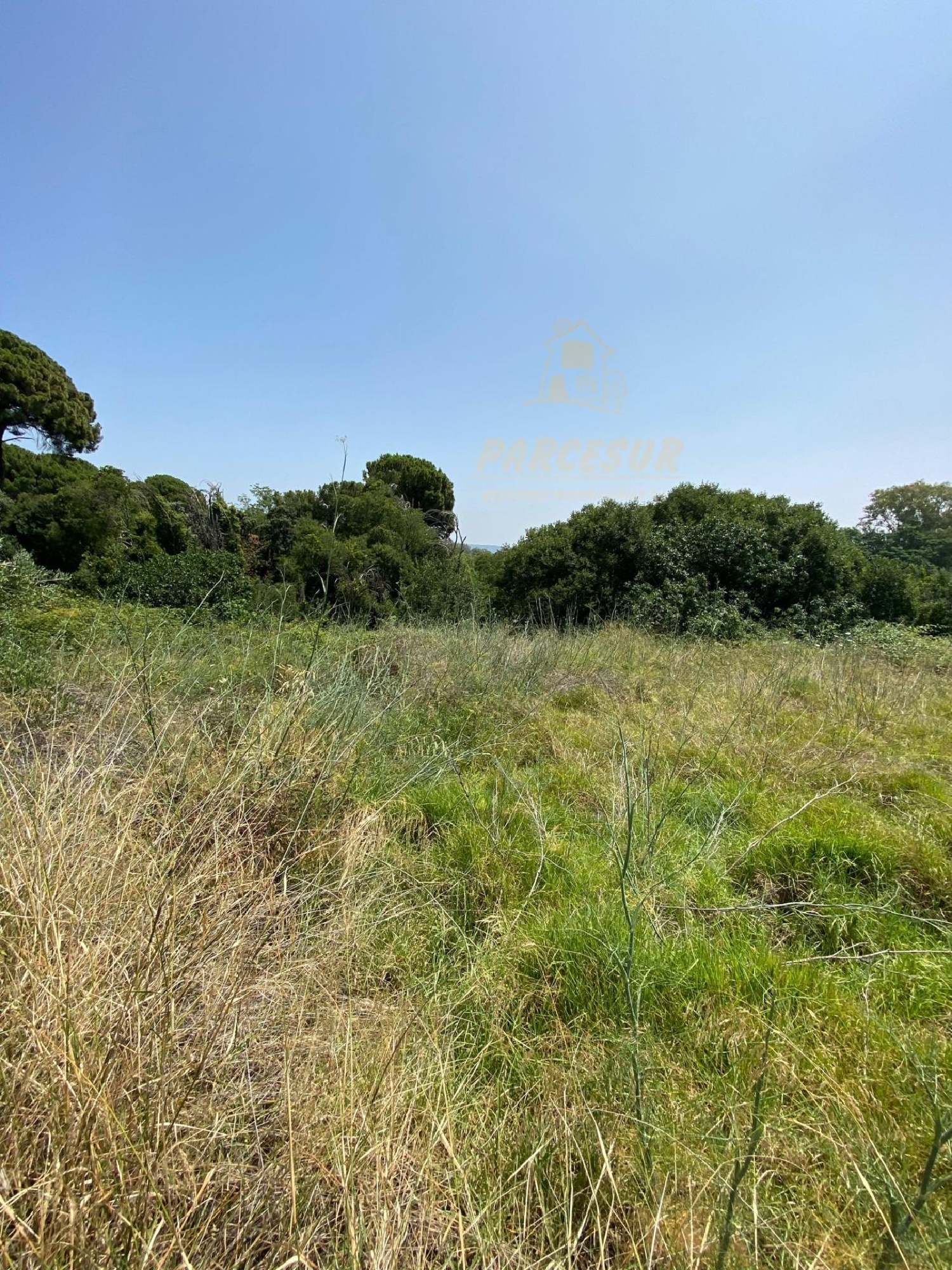  kaufen Grundstück Villafranca De Córdoba Alto Guadalquivir 3