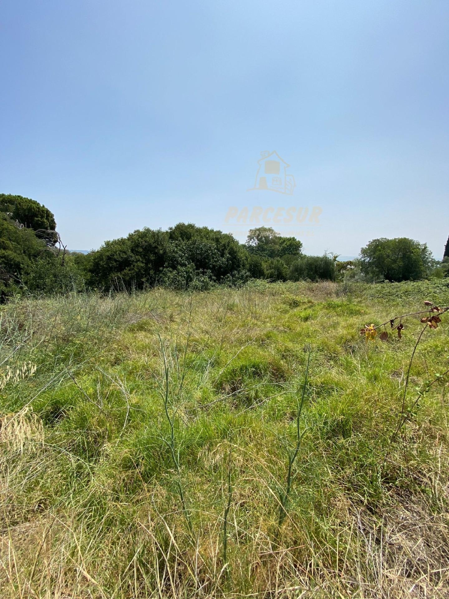  kaufen Grundstück Villafranca De Córdoba Alto Guadalquivir 6