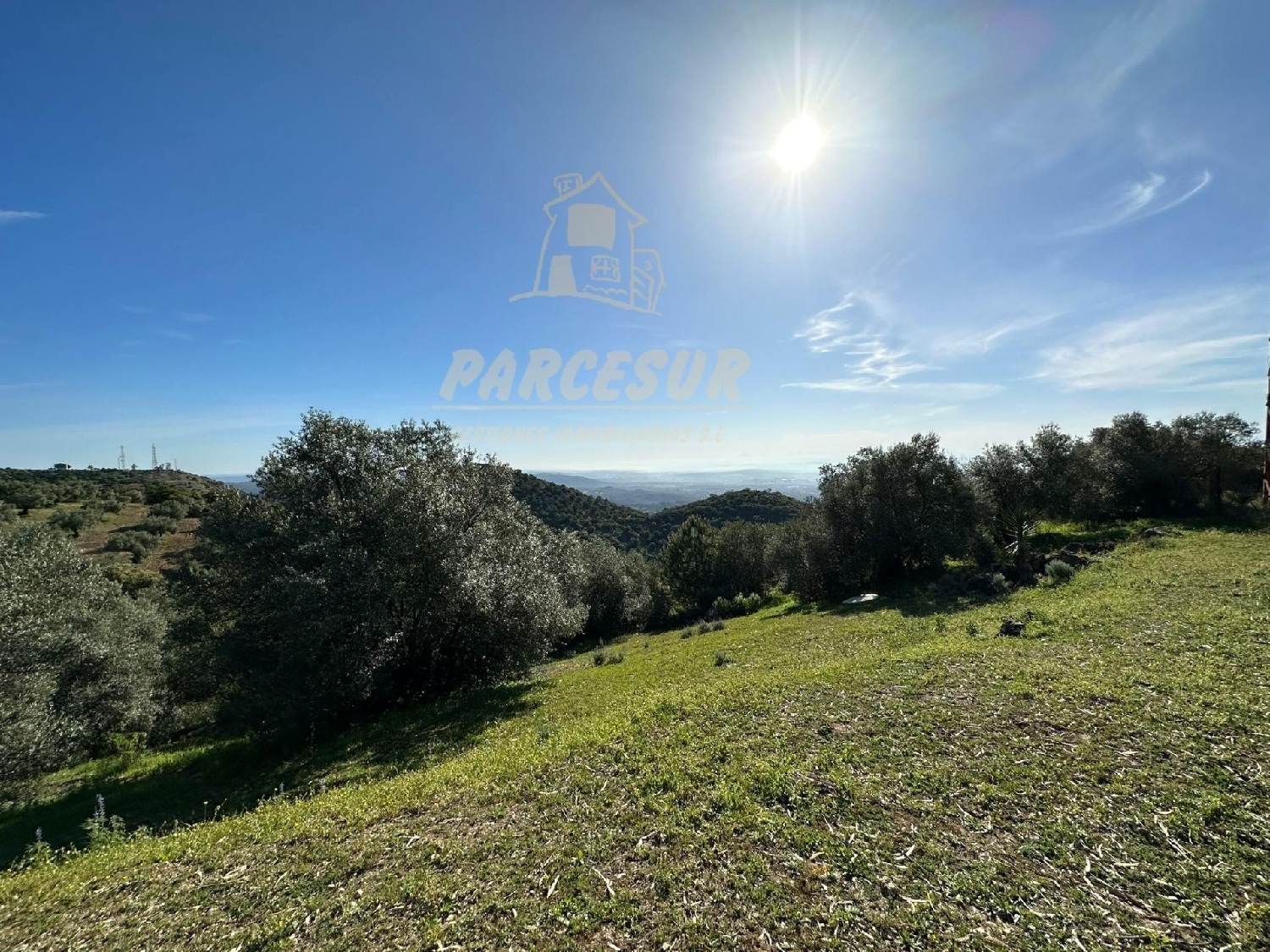  te koop perceel Villafranca De Córdoba Alto Guadalquivir 5