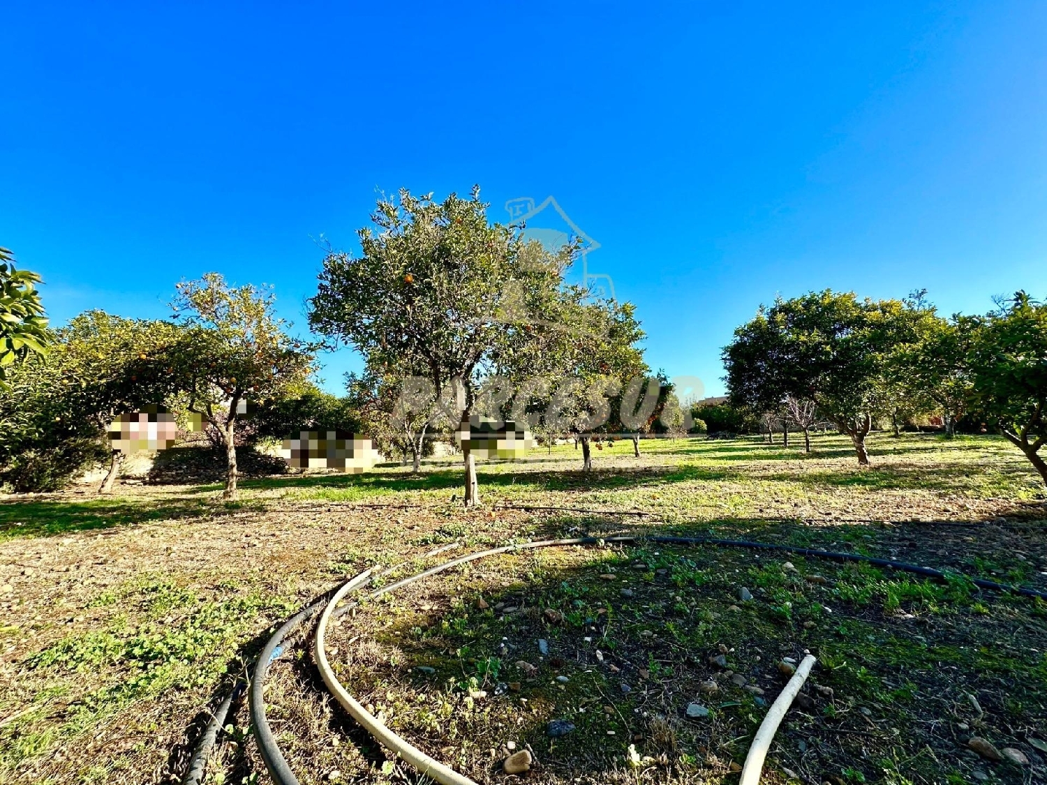  till salu tomt Villafranca De Córdoba Alto Guadalquivir 4