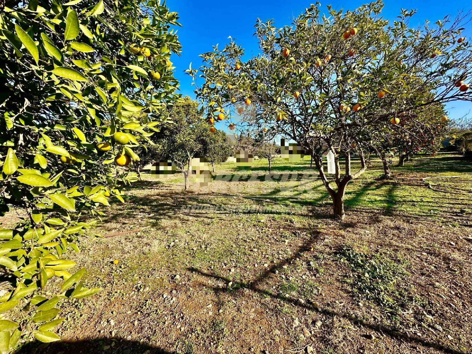  till salu tomt Villafranca De Córdoba Alto Guadalquivir 2