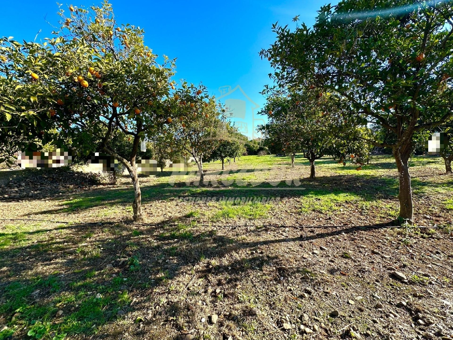  till salu tomt Villafranca De Córdoba Alto Guadalquivir 3