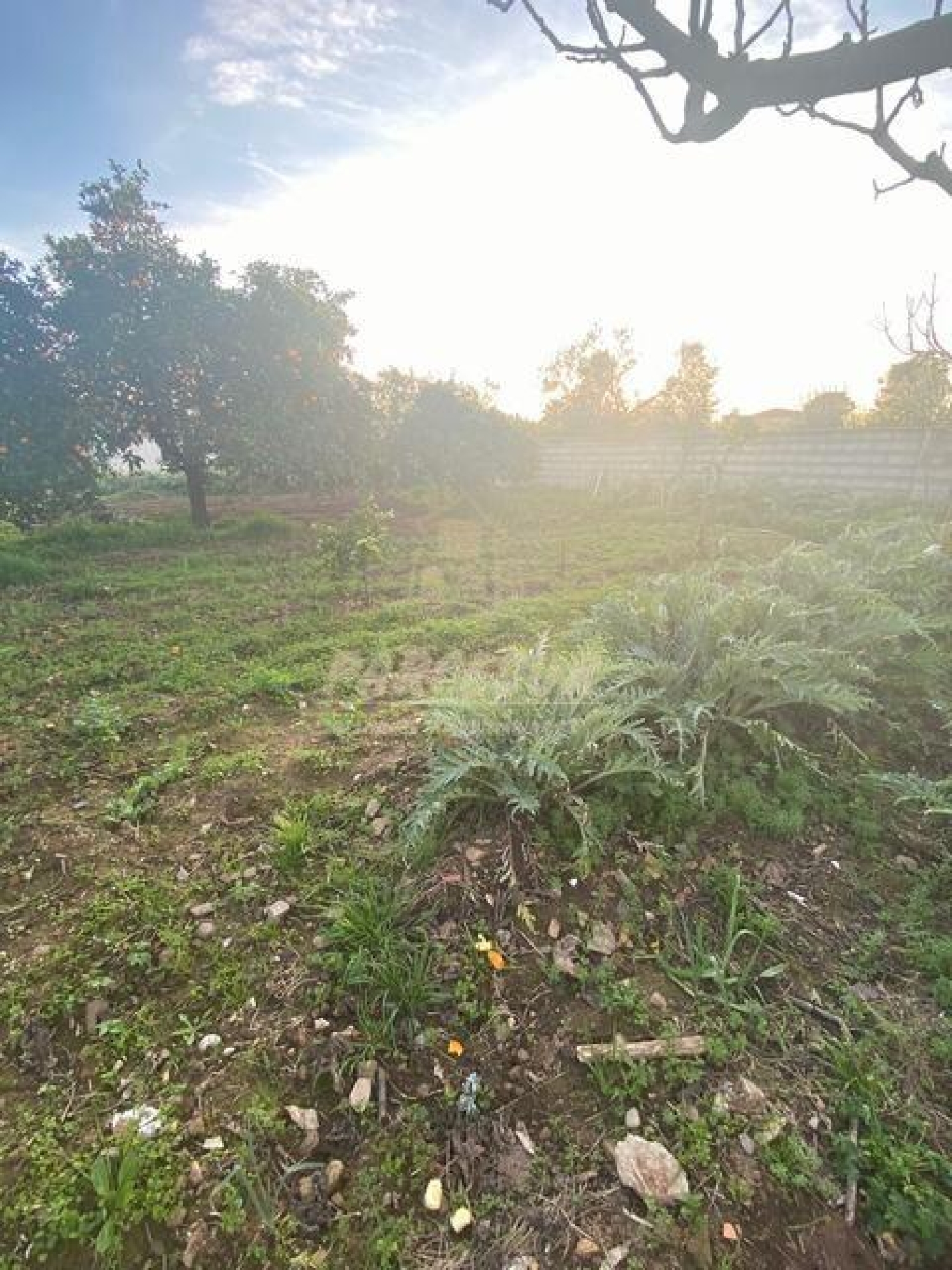  till salu tomt Villafranca De Córdoba Alto Guadalquivir 2