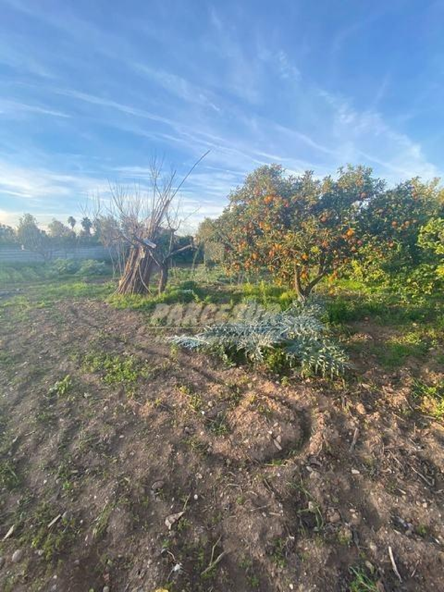  till salu tomt Villafranca De Córdoba Alto Guadalquivir 4