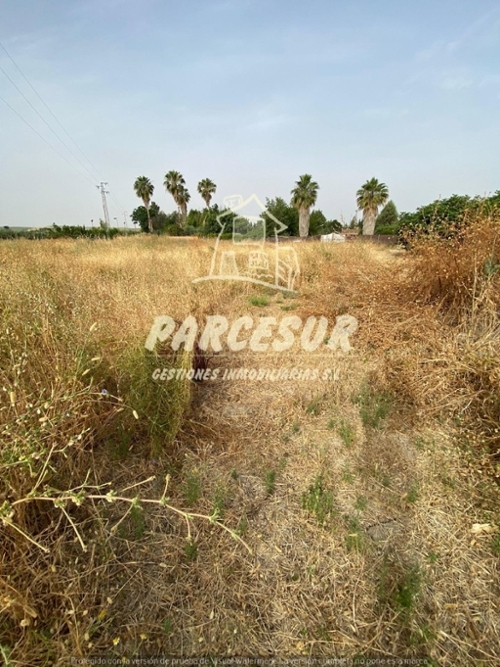 Villafranca De Córdoba Alto Guadalquivir tomt foto 6341755