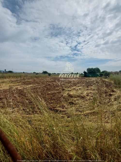 Villafranca De Córdoba Alto Guadalquivir tomt foto 6341779