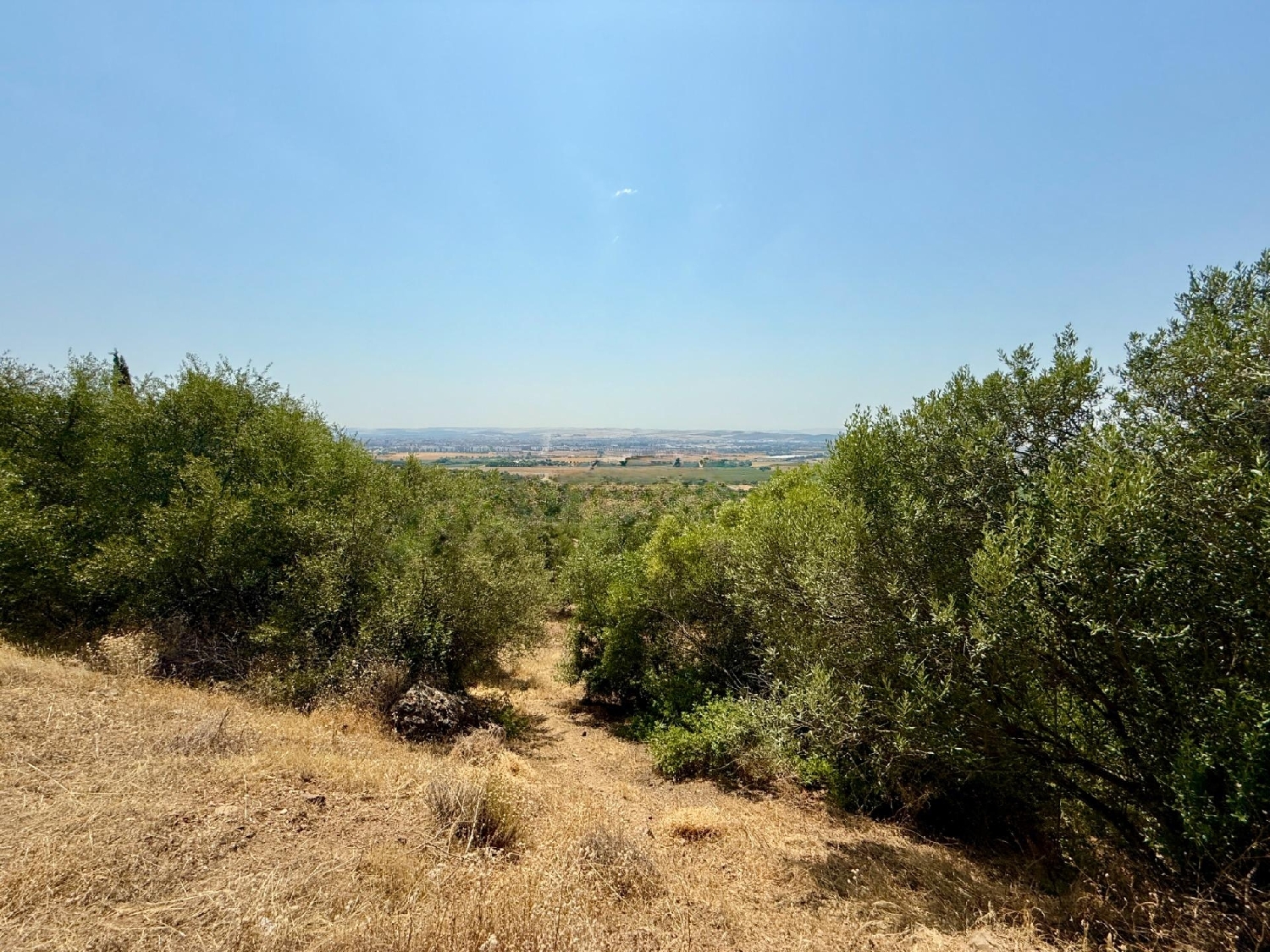  till salu tomt Villafranca De Córdoba Alto Guadalquivir 5