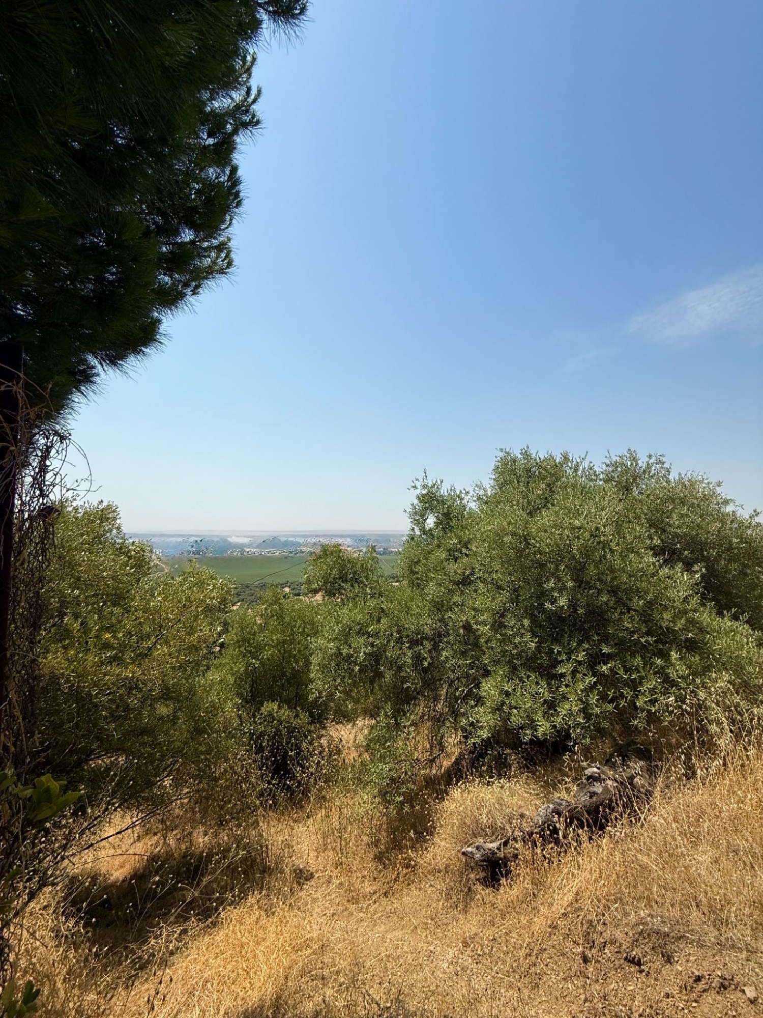  till salu tomt Villafranca De Córdoba Alto Guadalquivir 4