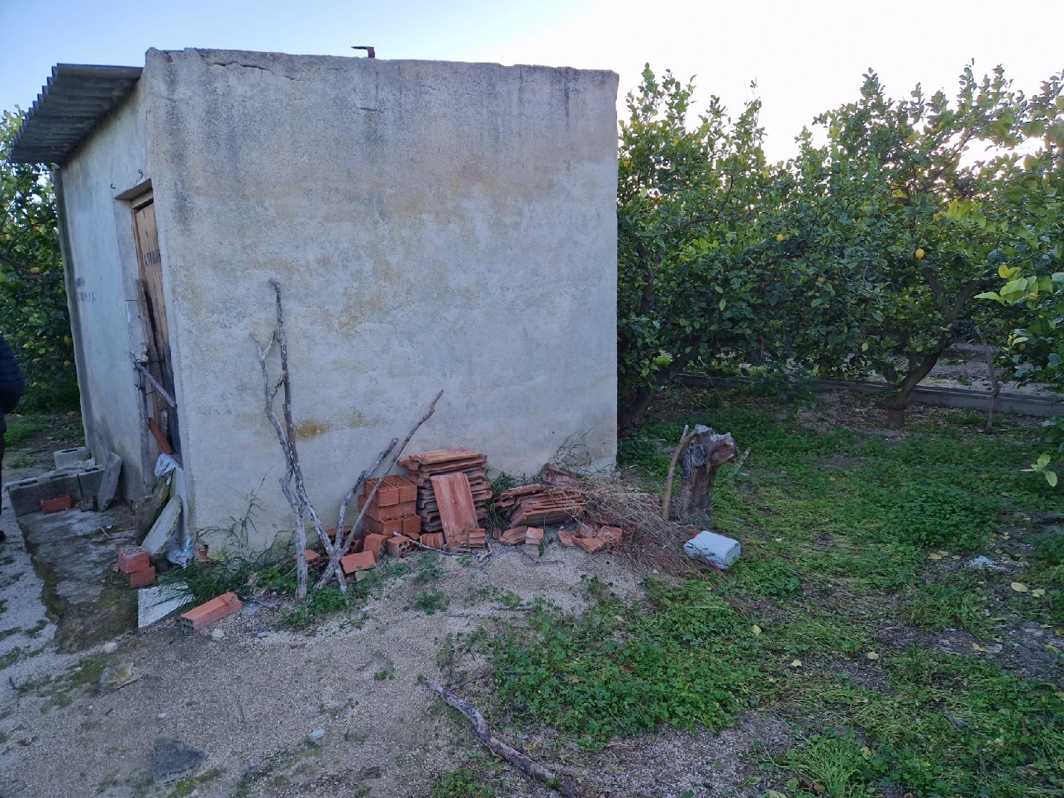  for sale plot Villanueva Del Río Segura Valle De Ricote 5