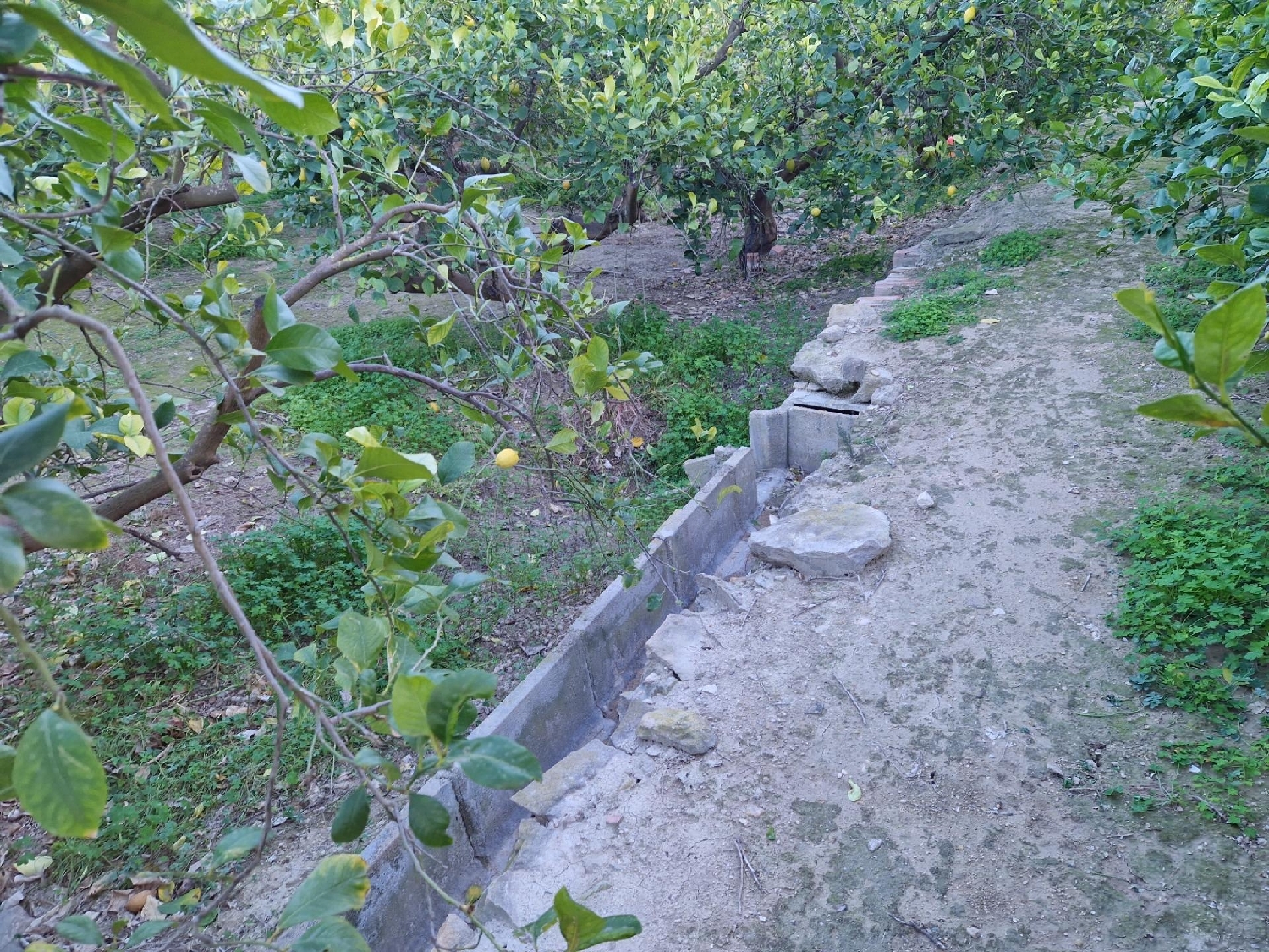  for sale plot Villanueva Del Río Segura Valle De Ricote 7