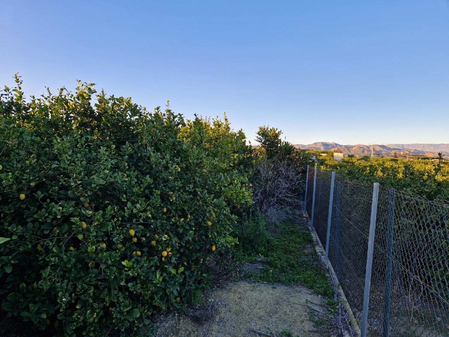  for sale plot Villanueva Del Río Segura Valle De Ricote 4
