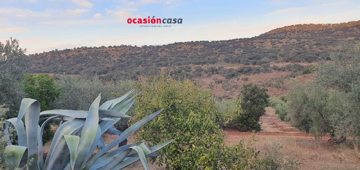  till salu tomt Villanueva Del Rey Valle Del Guadiato 3