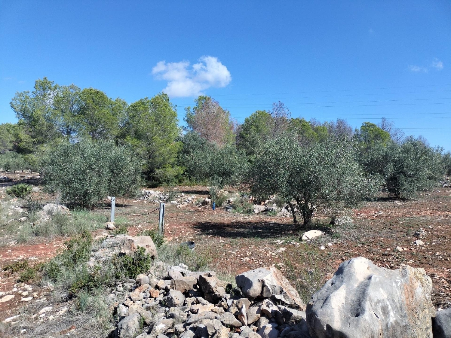 for sale plot Xàtiva Costera (La) 8