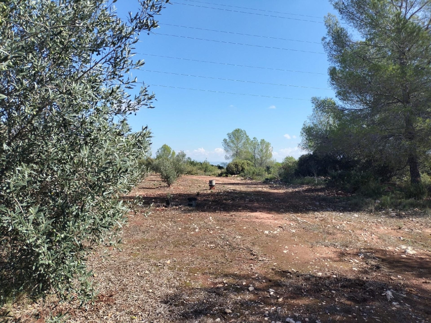 for sale plot Xàtiva Costera (La) 3