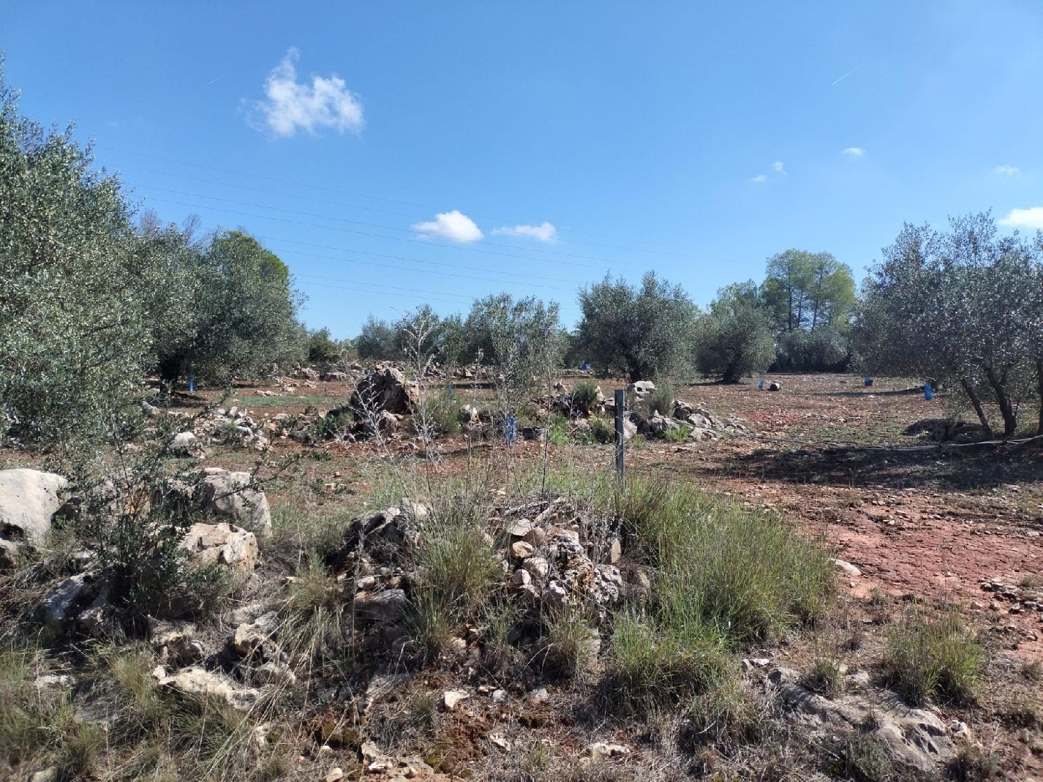 for sale plot Xàtiva Costera (La) 5