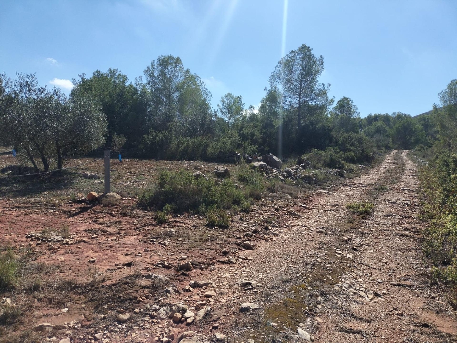 for sale plot Xàtiva Costera (La) 4