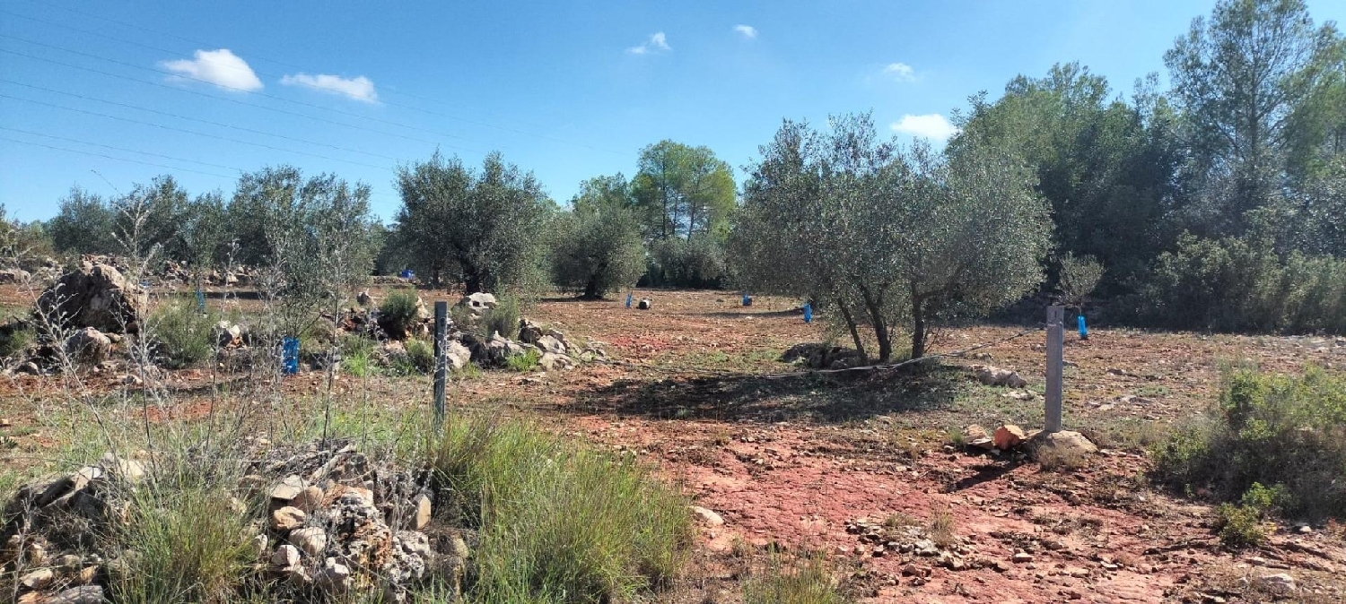 for sale plot Xàtiva Costera (La) 6