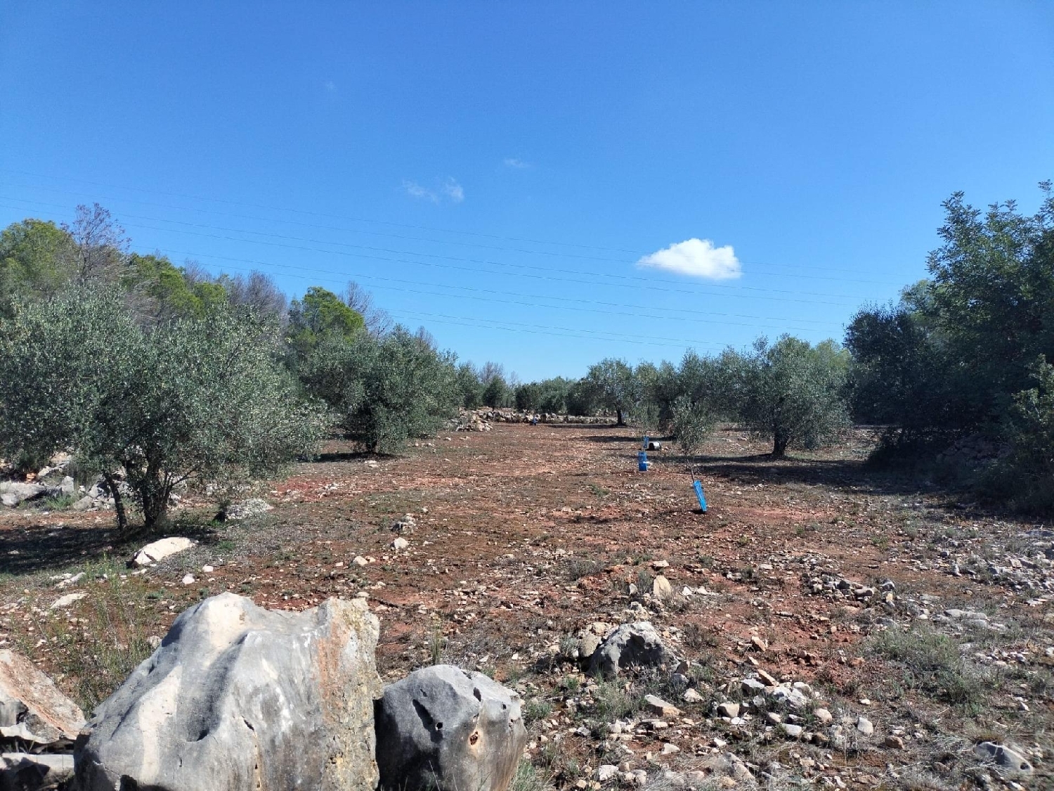 for sale plot Xàtiva Costera (La) 2