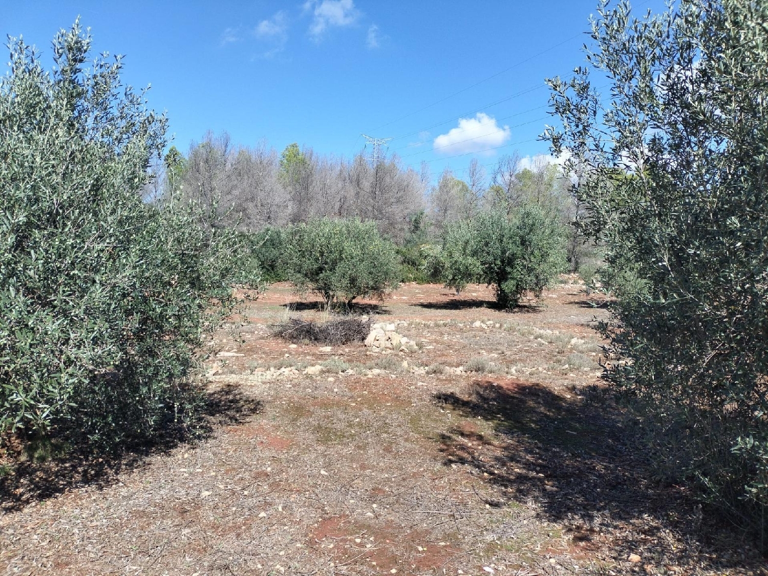 for sale plot Xàtiva Costera (La) 7